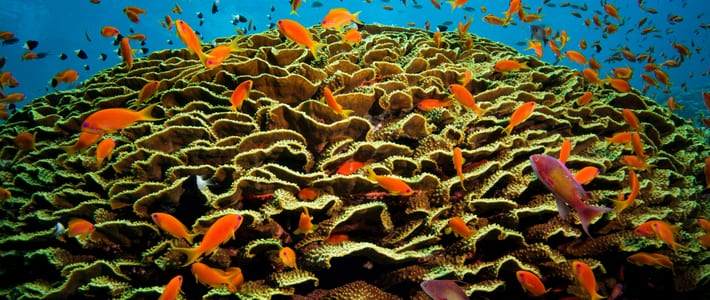 Hurghada, Egipto