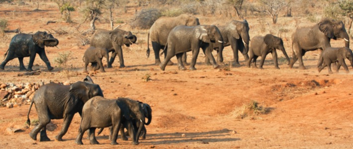 Johannesburgo, Sudáfrica