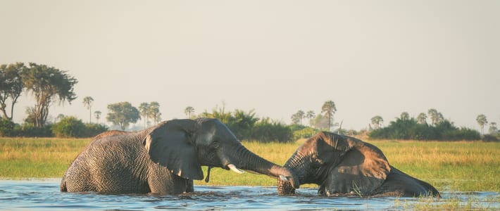 Maun, Botsuana