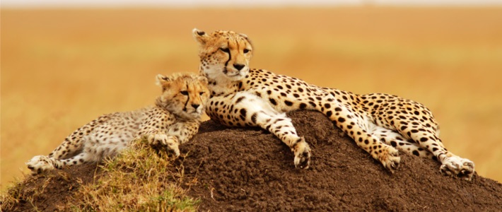 Nairobi, Kenia