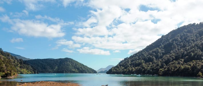 Picton, Nueva Zelanda