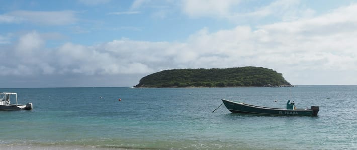 Vieques, Estados Unidos