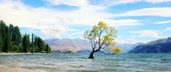 Wanaka, Nueva Zelanda