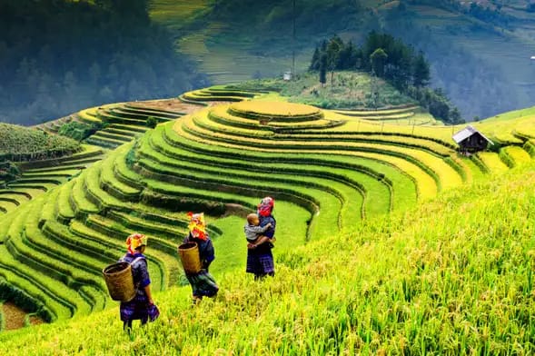 Tour de 2 días por Sapa