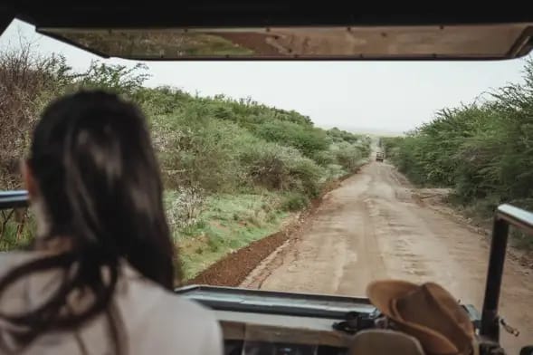 Safari por el Parque Pilanesberg + Sun City