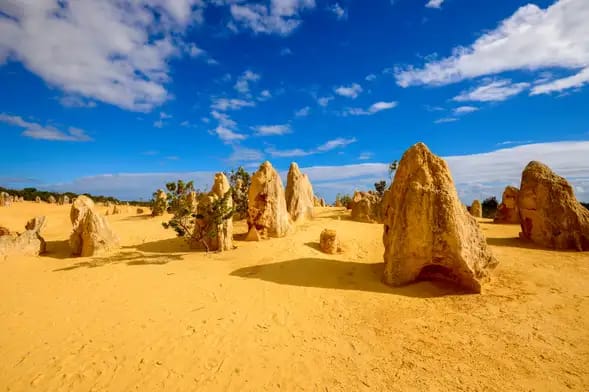 Excursión al desierto de los Pináculos