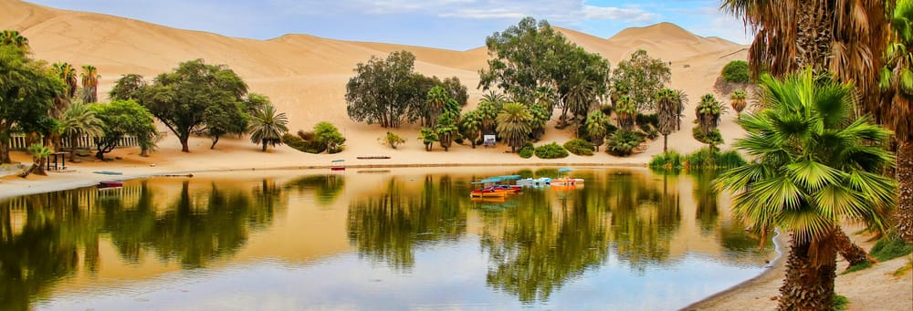 Excursión a Ica y Huacachina + Islas Ballestas en grupo reducido